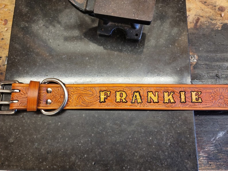 May include: A brown leather dog collar with silver hardware and the name "FRANKIE" embossed in gold lettering.