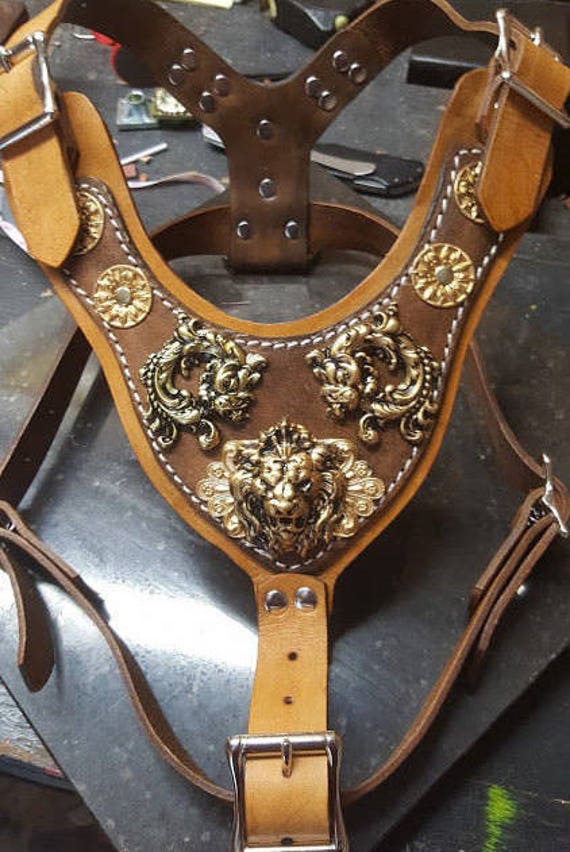 leather puppy harness