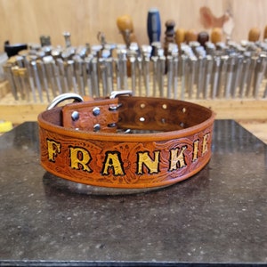 May include: A brown leather dog collar with silver hardware and the name "FRANKIE" embossed in gold lettering.