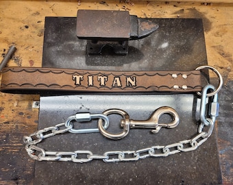May include: A brown leather dog collar with the name "TITAN" embossed on it. The collar is attached to a silver chain with a silver clip.