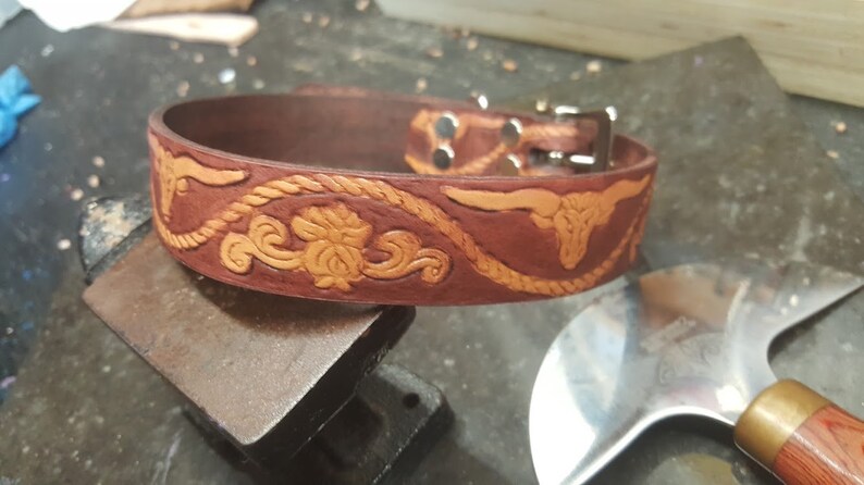 May include: A brown leather dog collar with a tooled design of a rope, floral patterns, and a bull's head. The collar has a silver buckle and two silver rivets.