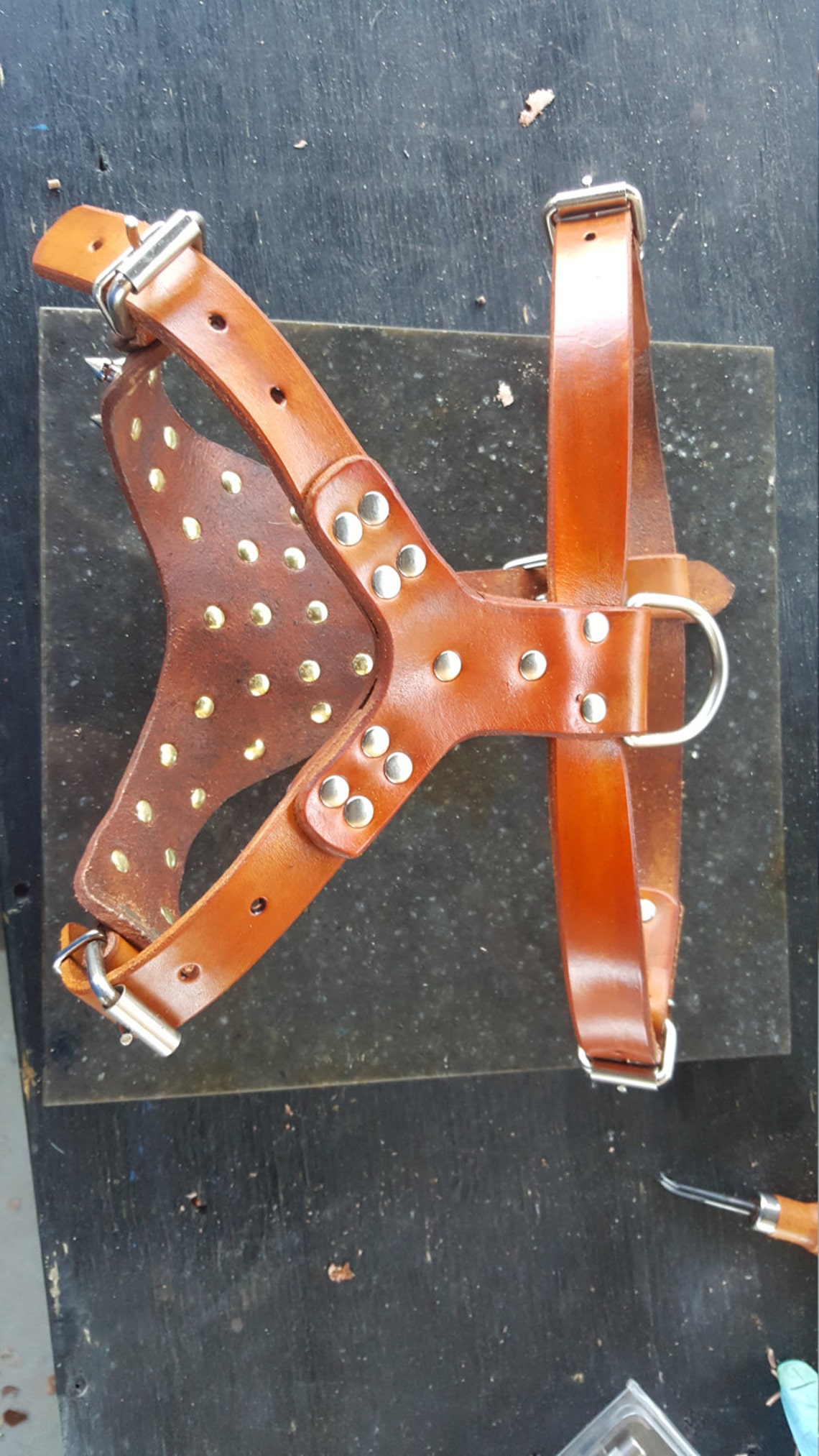 Leather Dog Harness Leather Dog Harness With Spikes Hand Etsy