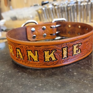 May include: A brown leather dog collar with silver hardware and the name "FRANKIE" embossed in gold lettering.