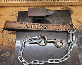 May include: A brown leather dog collar with the word "TITAN" embossed in silver lettering. The collar is attached to a silver chain with a spring-loaded clasp.