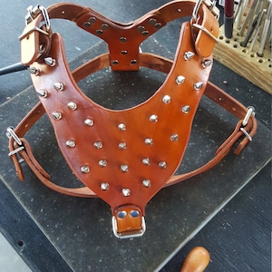 Dog Harness, Leather Dog Harness, Leather Dog Harness with Spikes, Handmade and crafted, Tooled Harness with spikes, Saddle Tan