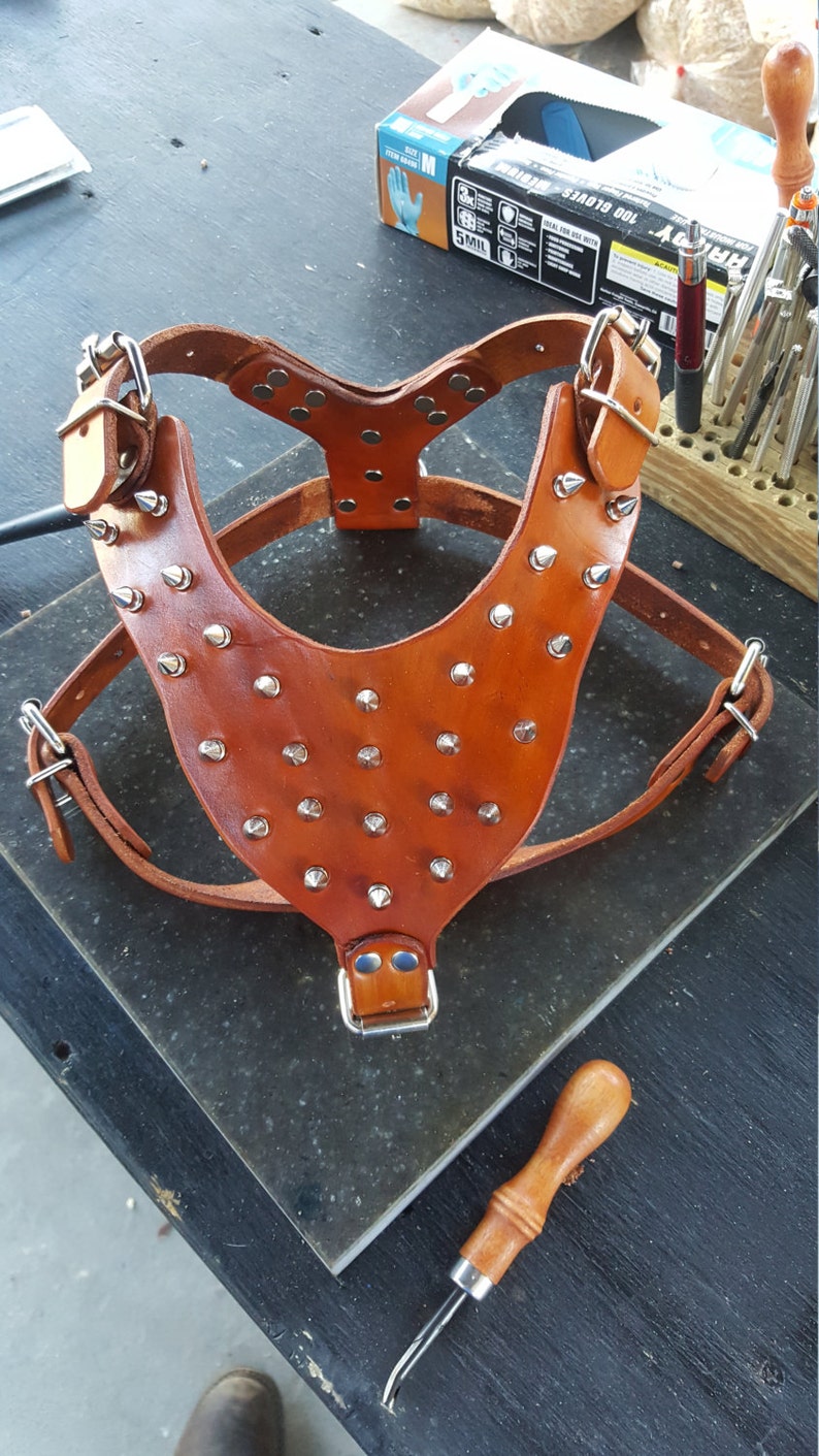 dog harness leather custom