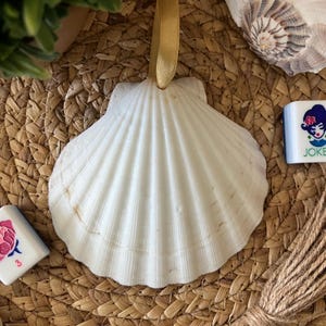Puede incluir: Un adorno de concha blanca con una cinta dorada. La concha es de forma de vieira con una textura nervada.