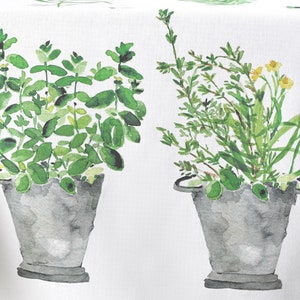 Puede incluir: Dos ilustraciones de acuarela de plantas en macetas. Las plantas est&aacute;n en macetas grises sobre un fondo blanco. Las plantas son verdes y amarillas.
