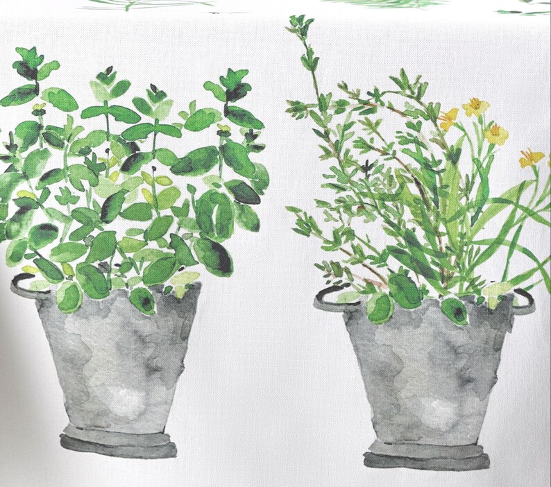 Puede incluir: Dos ilustraciones de acuarela de plantas en macetas. Las plantas est&aacute;n en macetas grises sobre un fondo blanco. Las plantas son verdes y amarillas.