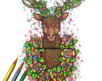 4 PDF Adult Coloring Pages-Black-Blue-Grey-Sepia-Instant Download-Printable Coloring Pages-Intricate Coloring Pages-Deer Portrait-Kent Chua