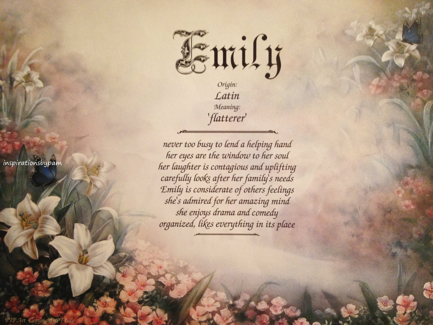 Emily the Name Meaning  