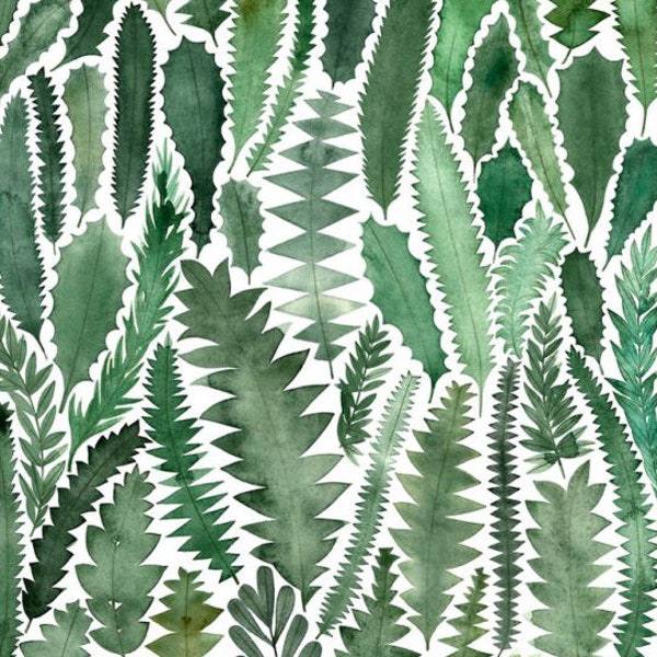 Banksia Leaves Card