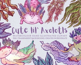 Cute Lil Axolotls Clipart Set, Watercolour Clipart, Axolotl Clipart, Fantasy Clipart, Childrens Clipart Graphics, Whimsical Clipart