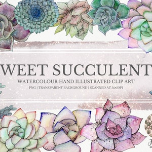 Succulents Clipart, Succulents Plants, Clipart Bundle, Commercial Use, Wedding Clipart, Plants Clipart, Digital Stickers, Planner Clipart