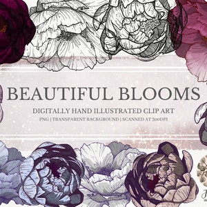 Hibiscus Flower Clipart, Feminine Clipart, Soft Flowers, Planner Graphics, Invitation Clipart, Greeting Cards, Hibiscus, Scrapbooking, PNG
