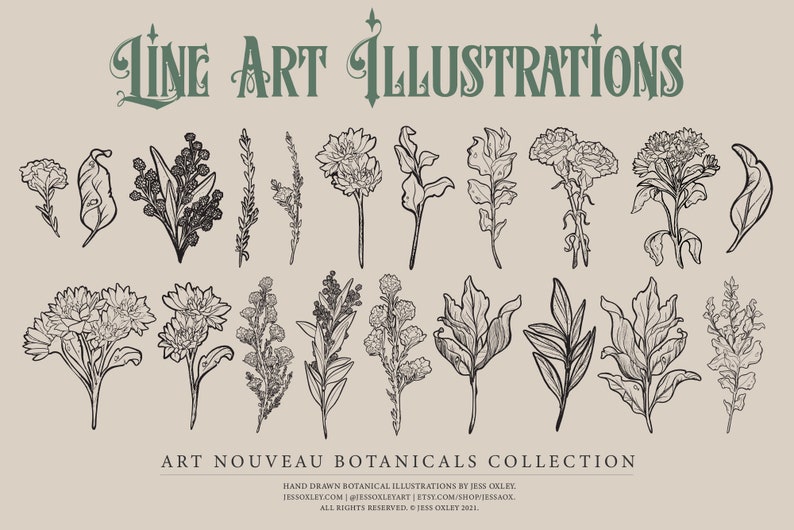 Art Nouveau Botanical Clipart, Vector Clipart Graphics, Flower PNG Clipart, Vintage Botanicals, Watercolour Floral Clipart, Vector Florals image 3
