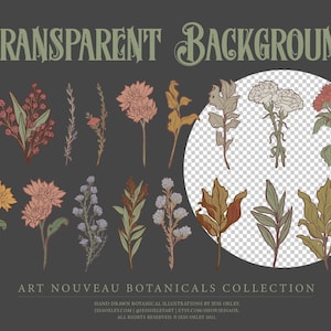 Art Nouveau Botanical Clipart, Vector Clipart Graphics, Flower PNG Clipart, Vintage Botanicals, Watercolour Floral Clipart, Vector Florals image 6