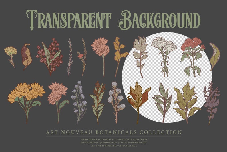 Art Nouveau Botanical Clipart, Vector Clipart Graphics, Flower PNG Clipart, Vintage Botanicals, Watercolour Floral Clipart, Vector Florals image 6