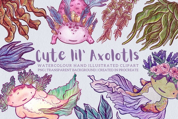Cute Lil Axolotls Clipart Set Watercolour Clipart Axolotl - Etsy