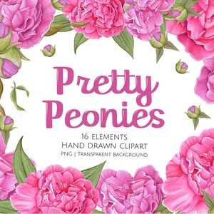 Peonies, Peony Clipart, Peony Flower Art, Peonies Decal, Flower Graphics, Flower Clipart, Invitation Clipart, Digital Scrapbooking, PNG, Art