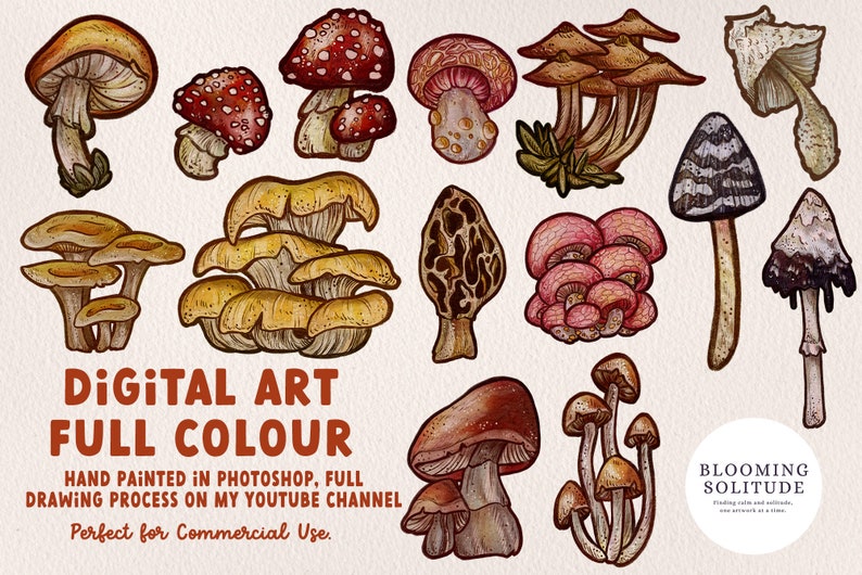 Champignons de la forêt Clipart Collection, Vector Clipart Graphics, Champignon PNG Clipart, Sketchy Art, Clipart, Champignon Clipart, Champignons image 3