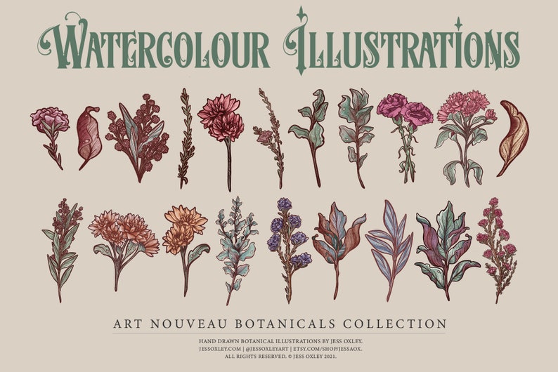 Art Nouveau Botanical Clipart, Vector Clipart Graphics, Flower PNG Clipart, Vintage Botanicals, Watercolour Floral Clipart, Vector Florals image 4