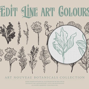 Art Nouveau Botanical Clipart, Vector Clipart Graphics, Flower PNG Clipart, Vintage Botanicals, Watercolour Floral Clipart, Vector Florals image 5