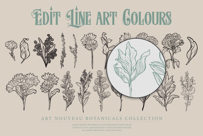 Art Nouveau Botanical Clipart, Vector Clipart Graphics, Flower PNG Clipart, Vintage Botanicals, Watercolour Floral Clipart, Vector Florals image 5