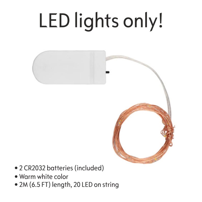 May include: A set of 20 warm white LED fairy lights on a copper wire string, powered by two CR2032 batteries (included). The lights are 6.5 feet long.
