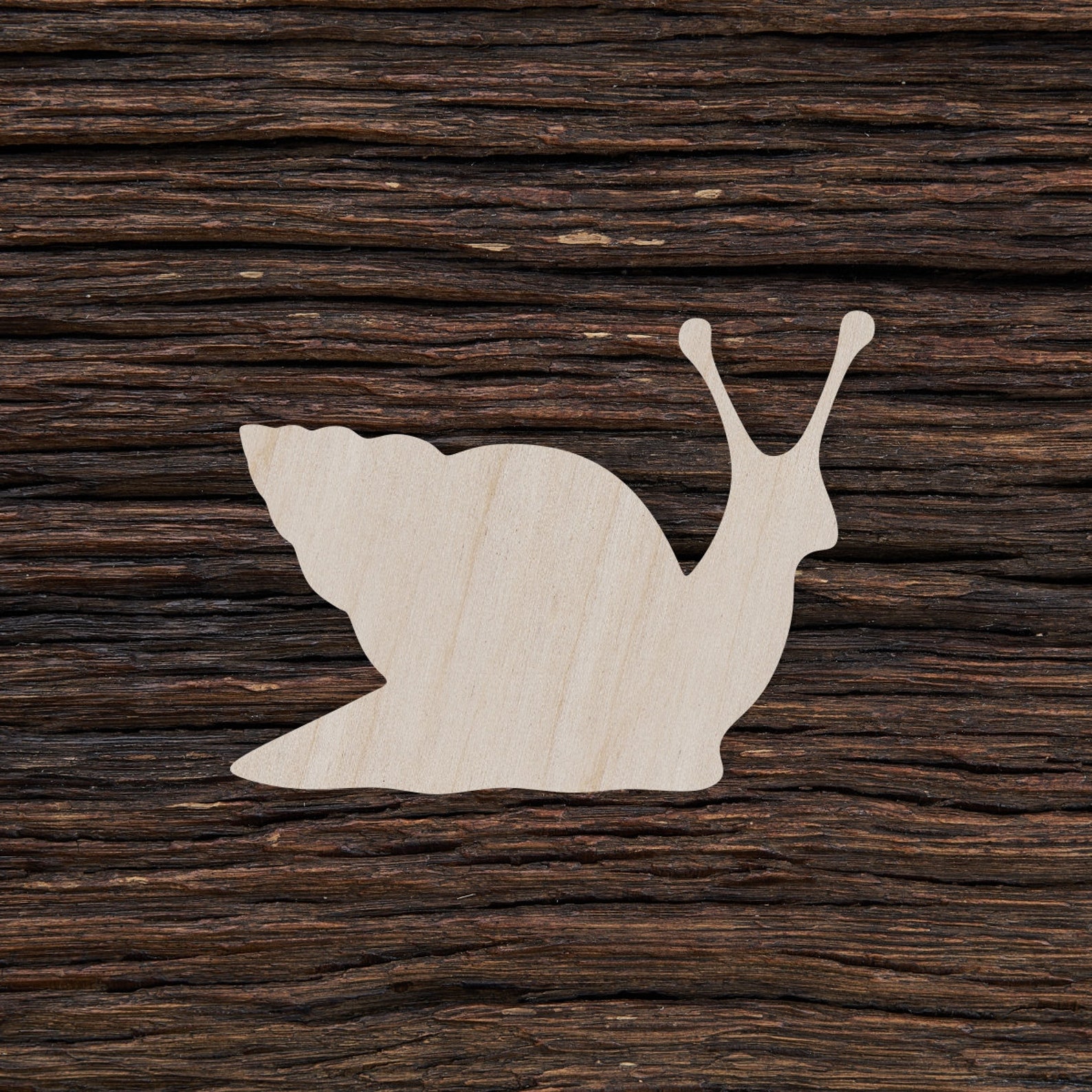 Wooden Snail for Crafts and Decorations Snail Cut Out Etsy