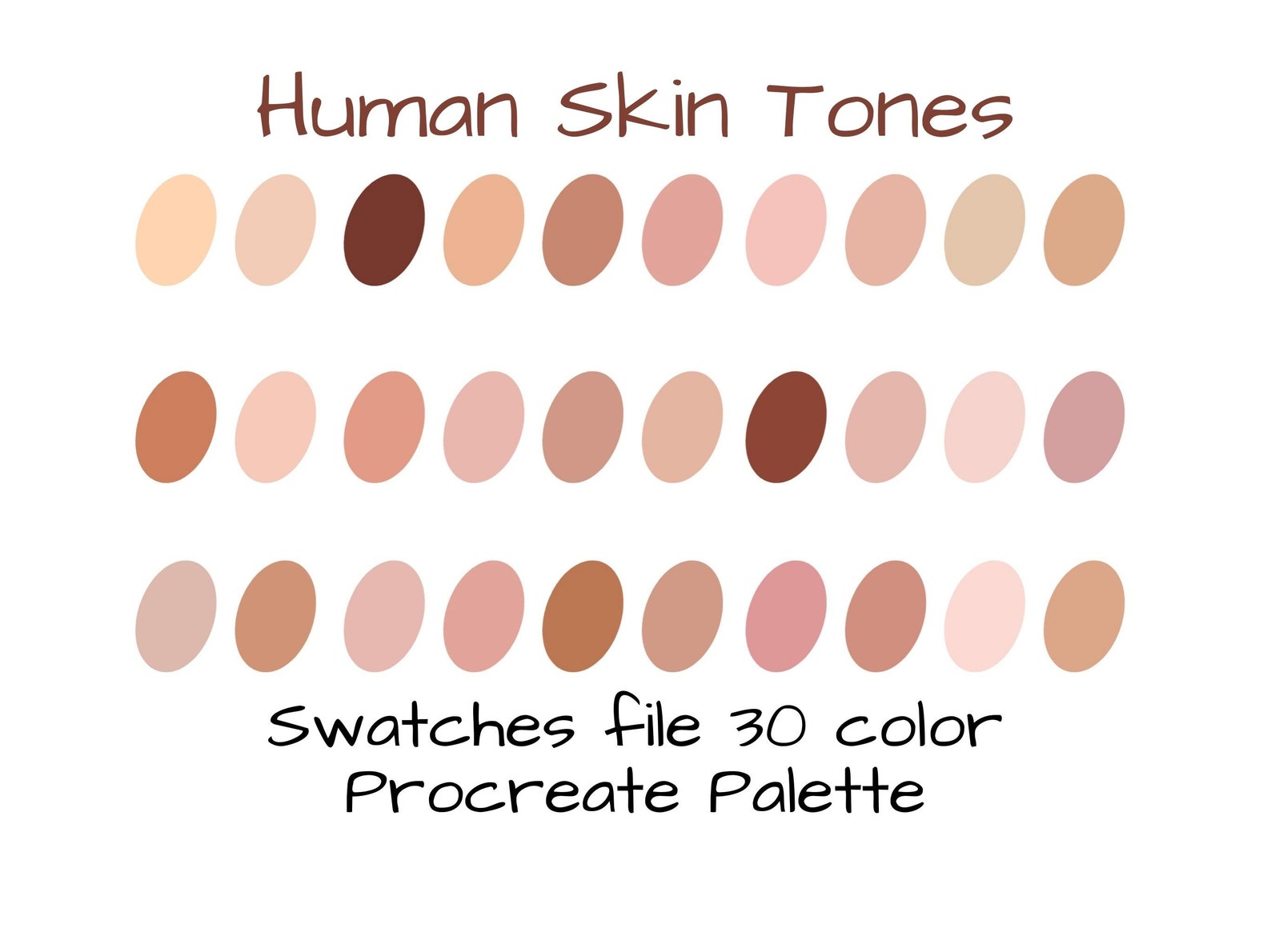 Human Skin Tones Procreate Palette / Procreate Color Palette