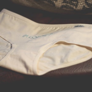 Im Lost: Embroidered Panties