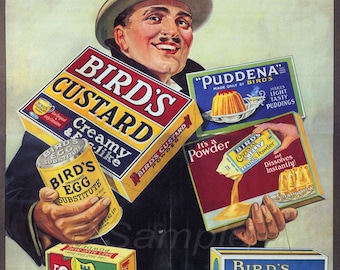 Vintage Advertising poster A4 Photo RE PRINT Birds Custard
