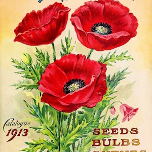 Impresión del cartel publicitario de flores de amapola de 1913