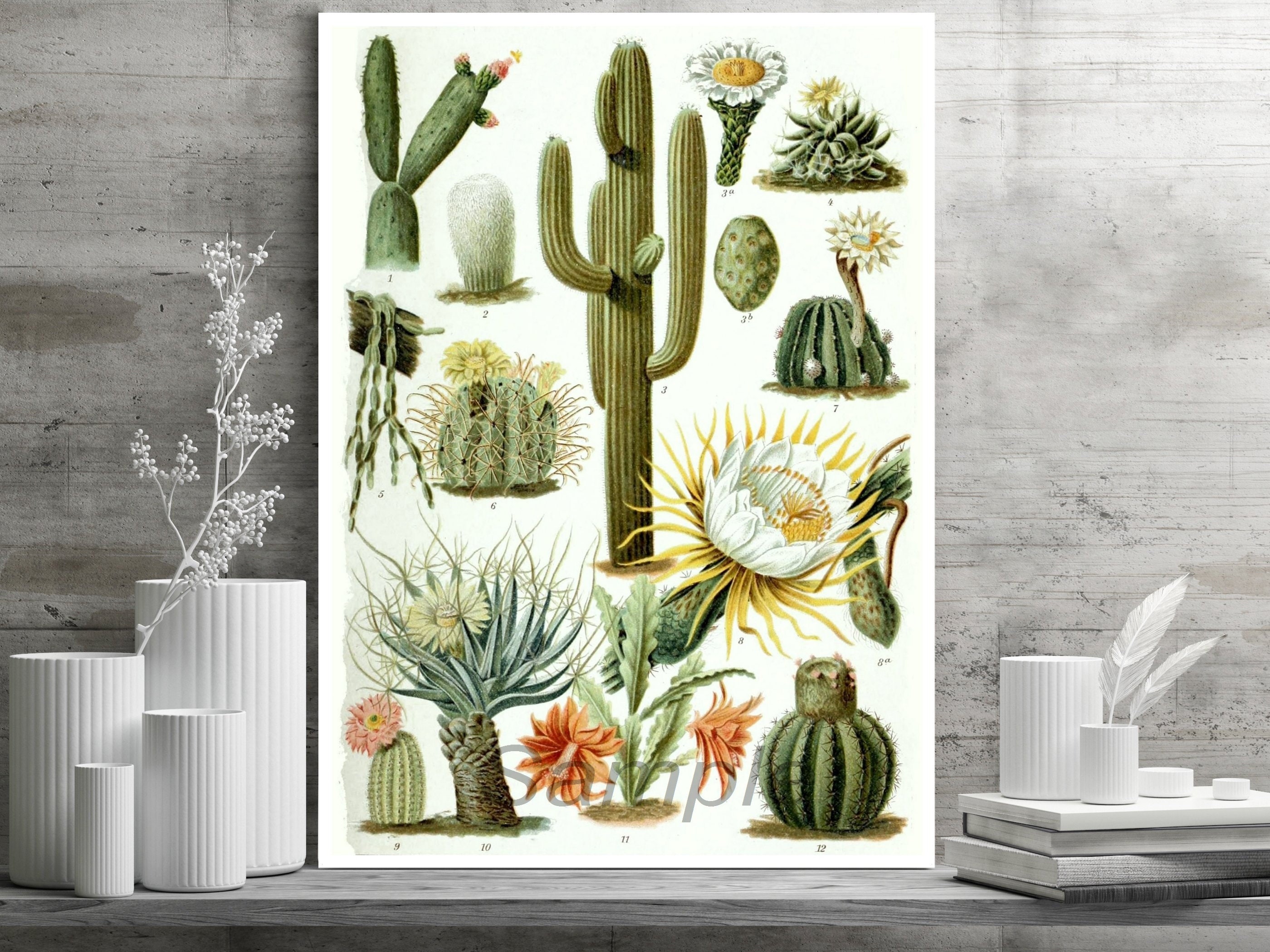 ヴィンテージサボテンイラストポスタープリント - Etsy 日本