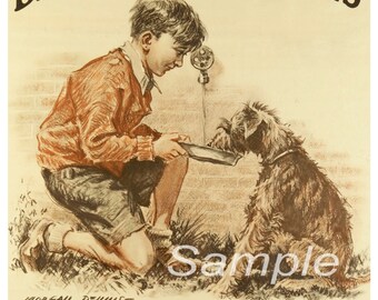 KA02 Vintage Be Kind to Animals Poster Print | Etsy UK