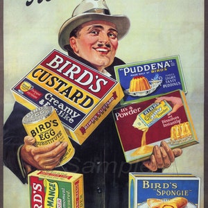 Vintage Vogel Custard Werbung Poster