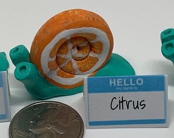 Edição Limitada: Citrus Splash Slow Down Snails