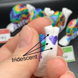 Limited Edition: PRIDE Iridescent Slow Down Snails