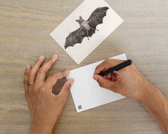 Bat Postcard