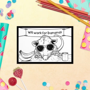 Carte postale opossum