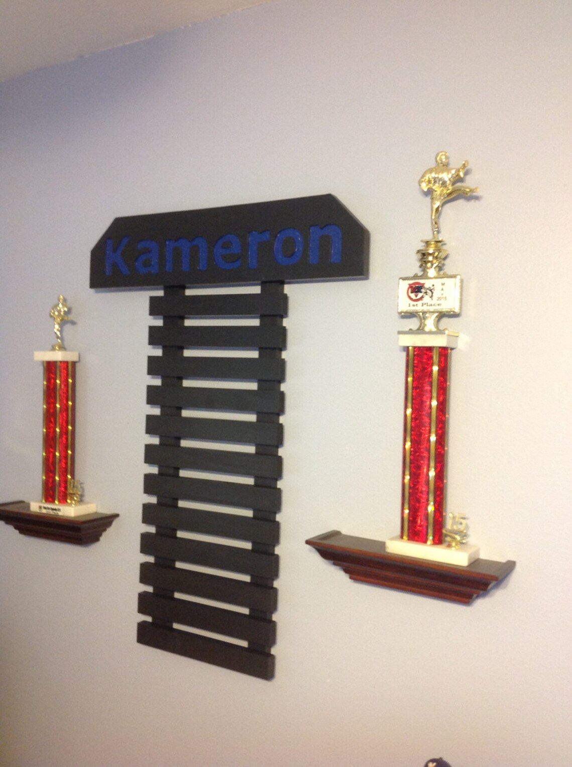 10 Level Taekwondo Belt Display 9 Color Choices & 100 Etsy