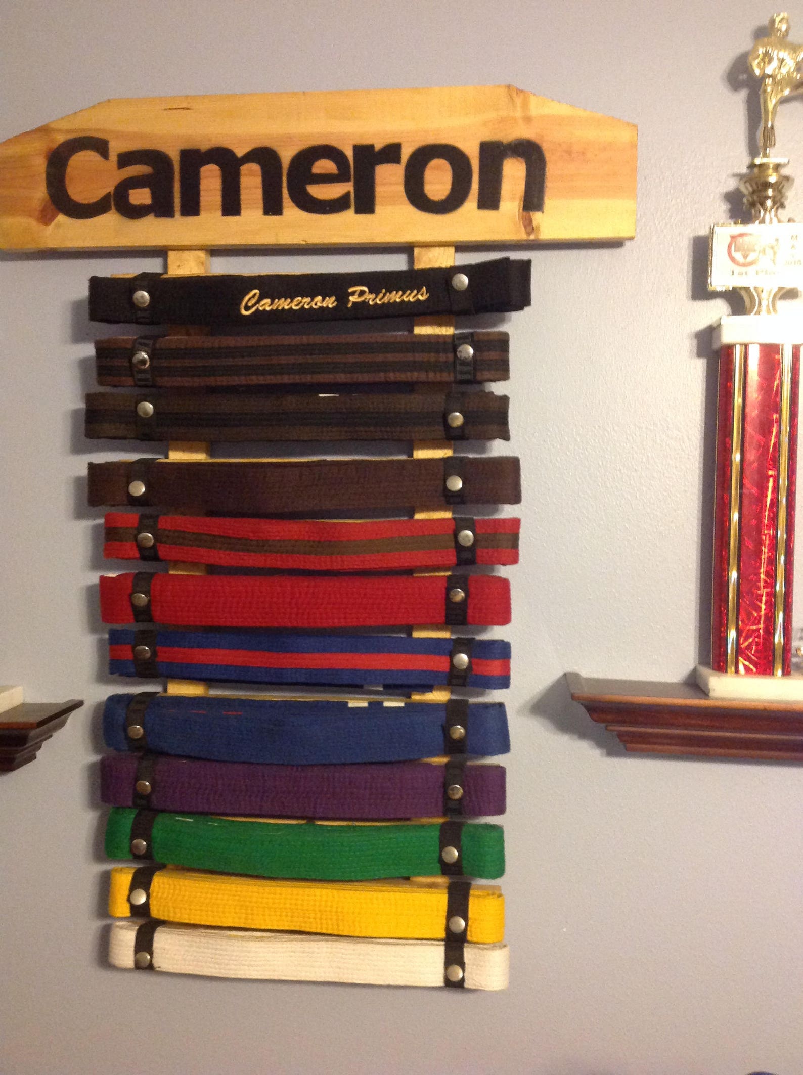 Karate Belt Display Rack Martial Arts Display Rack Holder Etsy
