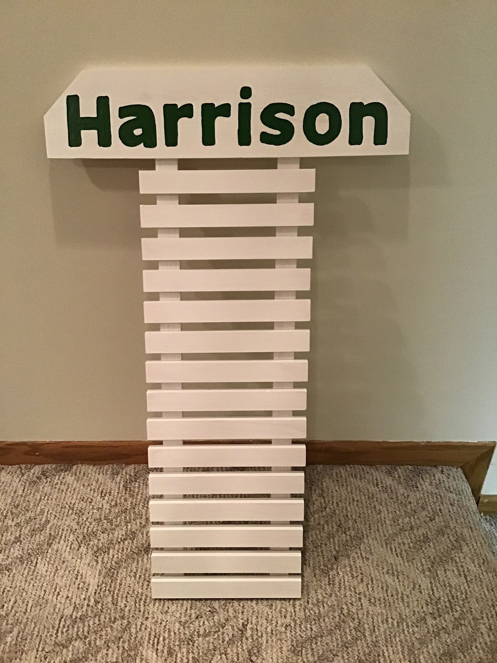 10 Level Taekwondo Belt Display 9 Color Choices & 100 Etsy