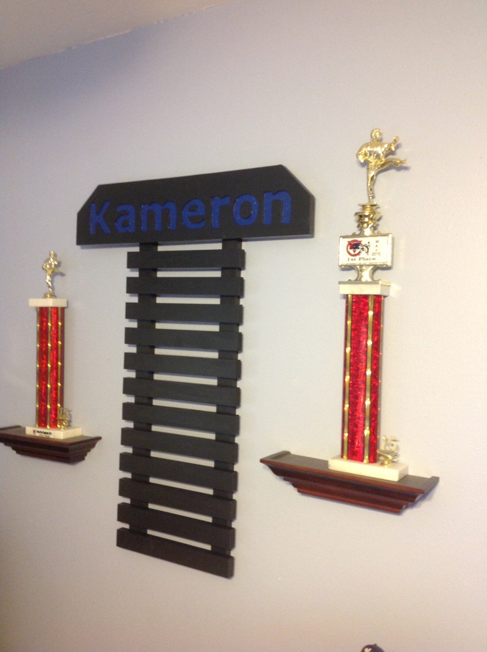 Wall Mount Martial Arts Belt Holder Holds 6 Karate Belts 9 Etsy