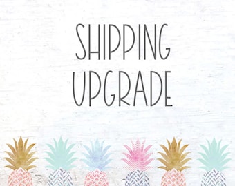 Puede incluir: Un fondo de madera blanco con el texto "SHIPPING UPGRADE" en negro.  Debajo del texto hay seis ilustraciones de piñas coloridas.