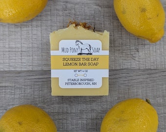 Mud Pony Soap SQUEEZE THE DAY Bar Soap