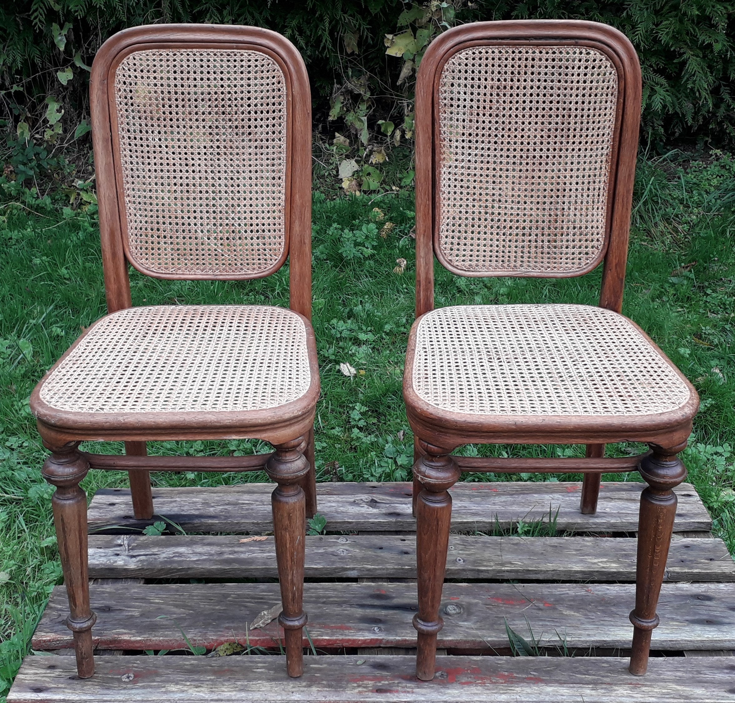 Duo de Chaises Thonet N 436 1906