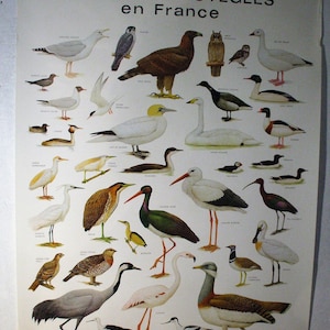 Cartel de especies protegidas en Francia