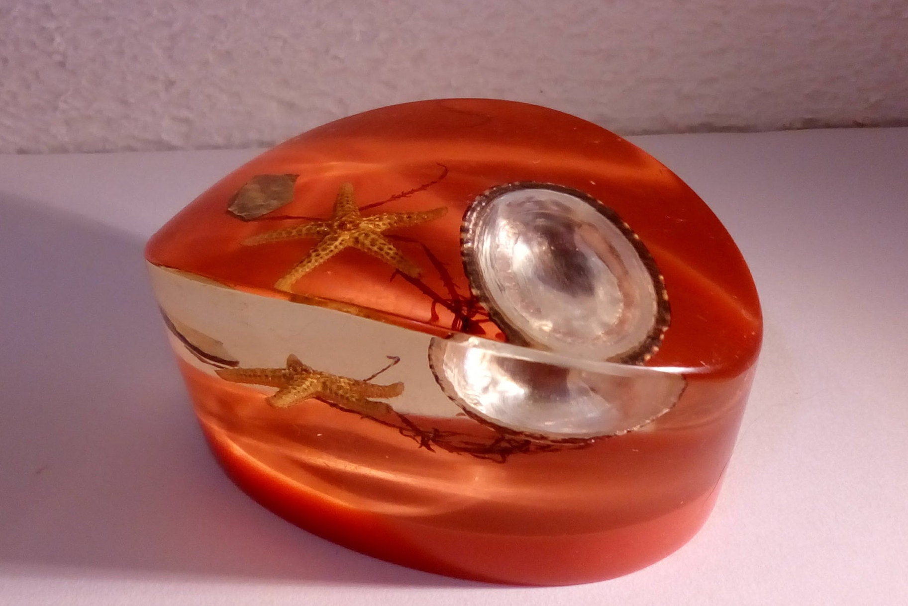 Inclusion Coquillage et Mini Étoile de Mer/Années 70